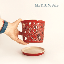 Load image into Gallery viewer, Ceramic Orchid Planter with Plate - plant pot - CozyHomeIdeas