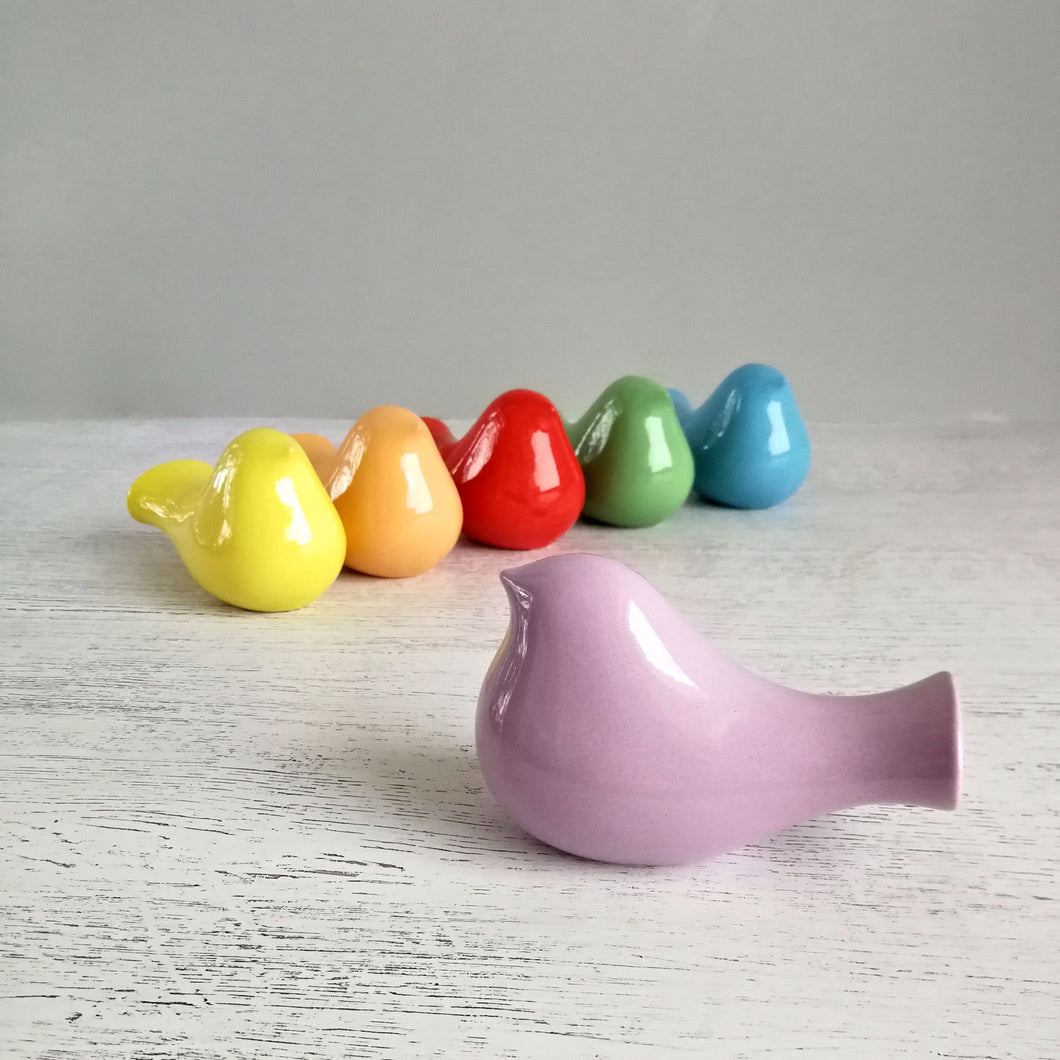 Celebrate spring with these cheerful ceramic bird figurines! Ceramic bird figurines available in pastel rainbow colors these sweet bird figures can be used for home decor or as cake toppers. Bird can be used to announce the arrival of a rainbow baby!